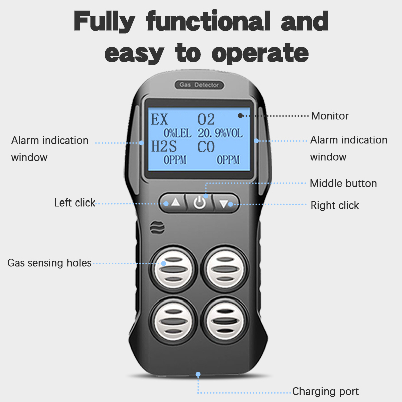 multi-gas detector