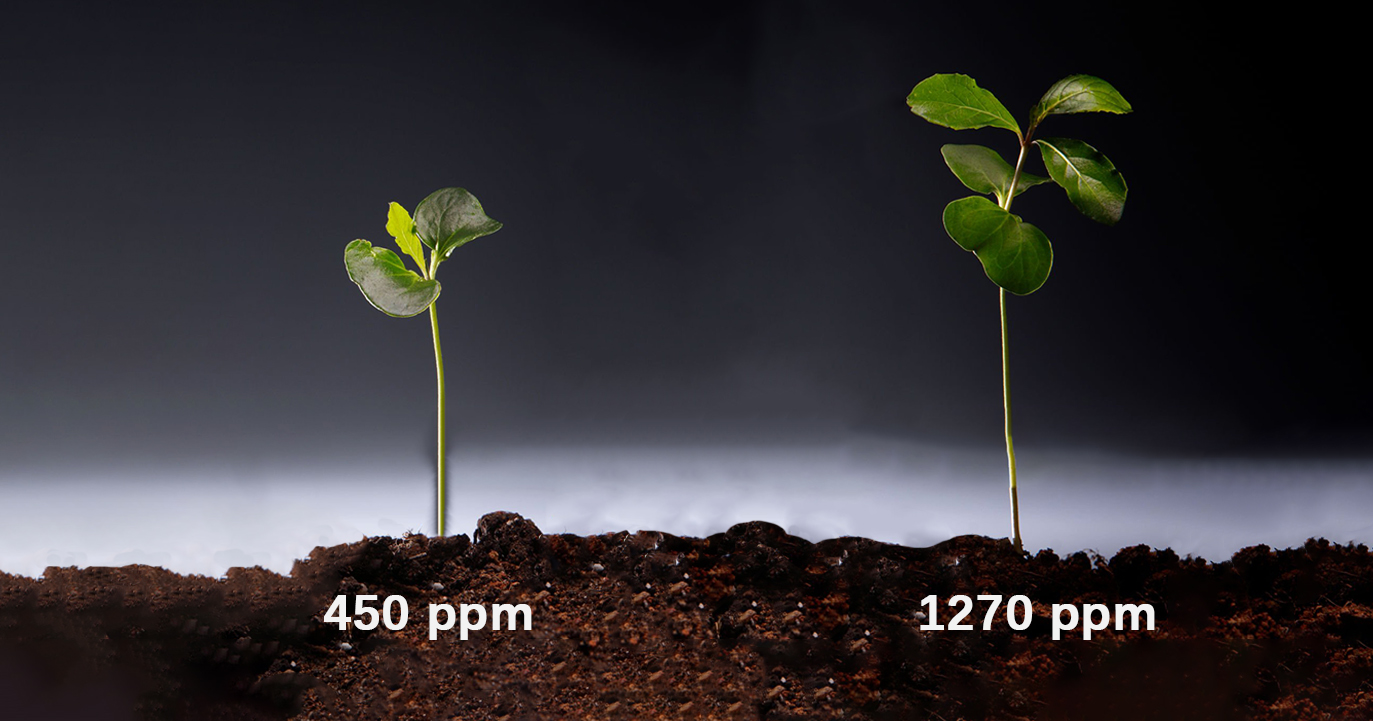 co2 enrichment